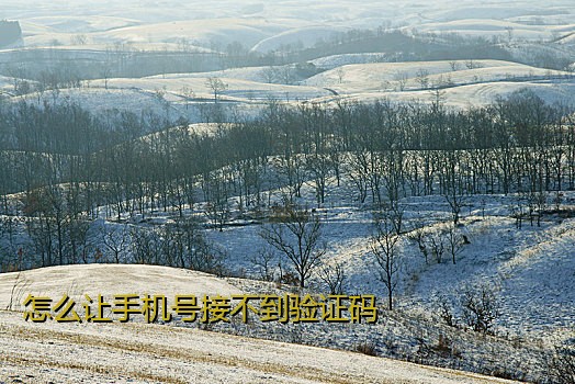 怎么让手机号接不到验证码