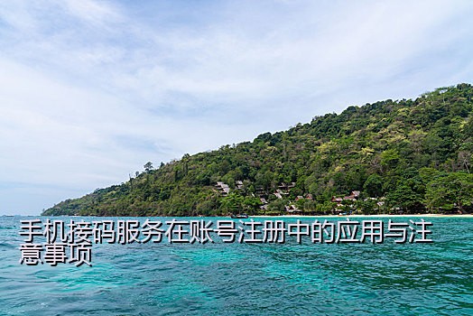 手机接码服务在账号注册中的应用与注意事项