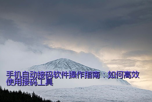 手机自动接码软件操作指南：如何高效使用接码工具