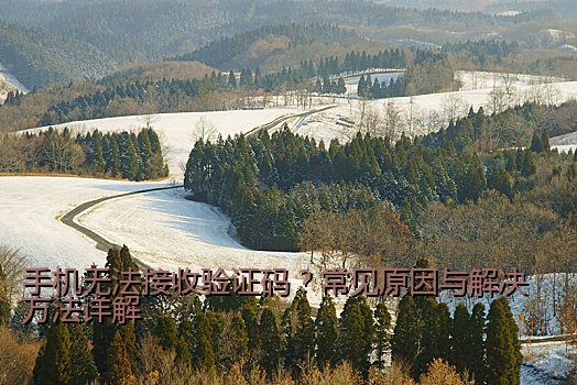 手机无法接收验证码？常见原因与解决方法详解