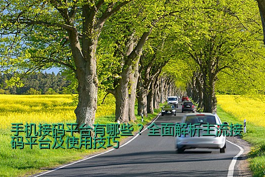手机接码平台有哪些？全面解析主流接码平台及使用技巧