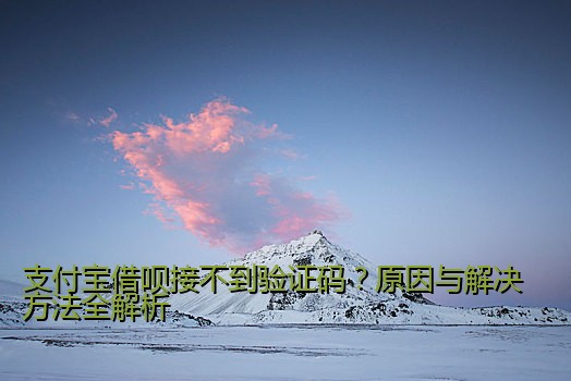 支付宝借呗接不到验证码？原因与解决方法全解析