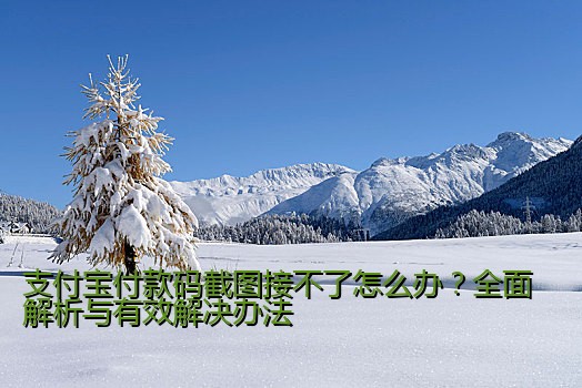 支付宝付款码截图接不了怎么办？全面解析与有效解决办法