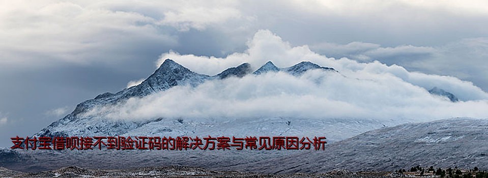 支付宝借呗接不到验证码的解决方案与常见原因分析
