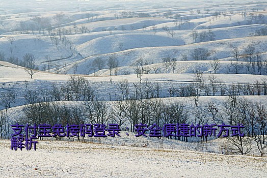支付宝免接码登录：安全便捷的新方式解析