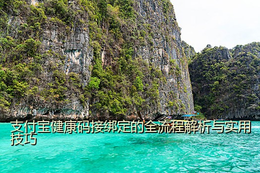 支付宝健康码接绑定的全流程解析与实用技巧