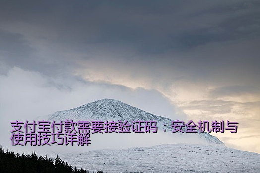 支付宝付款需要接验证码：安全机制与使用技巧详解
