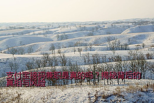 支付宝接码兼职是真的吗？揭秘背后的真相与风险
