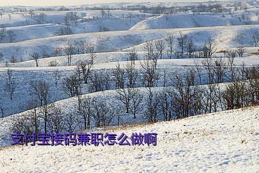 支付宝接码兼职怎么做啊
