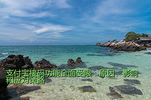 支付宝接码功能全面受限：原因、影响和应对策略