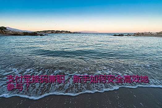 支付宝接码兼职：新手如何安全高效地参与？