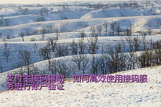 支付宝接码辅助：如何高效使用接码服务进行账户验证