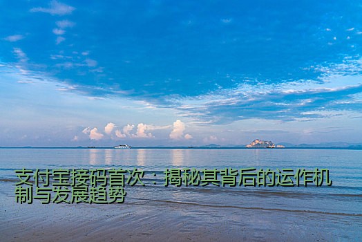 支付宝接码首次：揭秘其背后的运作机制与发展趋势