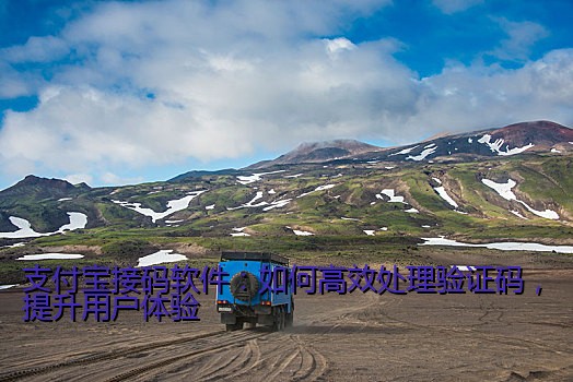 支付宝接码软件：如何高效处理验证码，提升用户体验