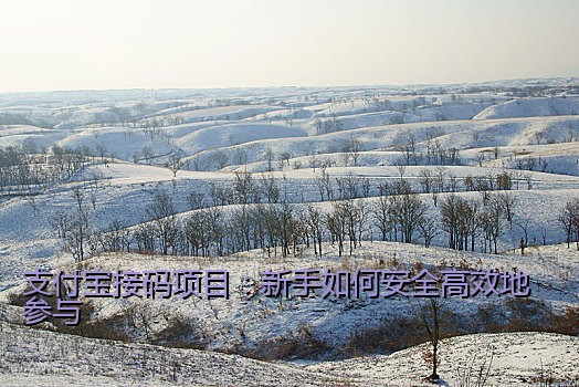支付宝接码项目：新手如何安全高效地参与