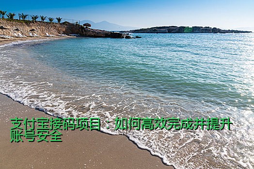 支付宝接码项目：如何高效完成并提升账号安全