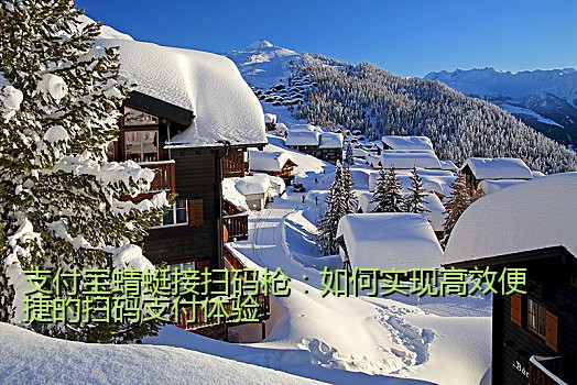 支付宝蜻蜓接扫码枪：如何实现高效便捷的扫码支付体验