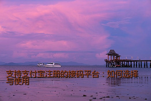 支持支付宝注册的接码平台：如何选择与使用