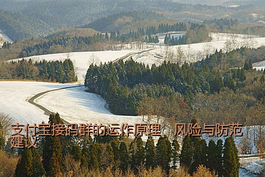 支持支付宝接码平台：技术发展与用户需求的完美结合
