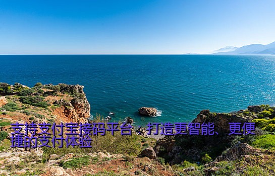 支持支付宝接码平台：打造更智能、更便捷的支付体验