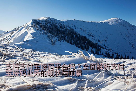 支持支付宝接码平台吗？全面解析支付宝接码业务的现状与前景
