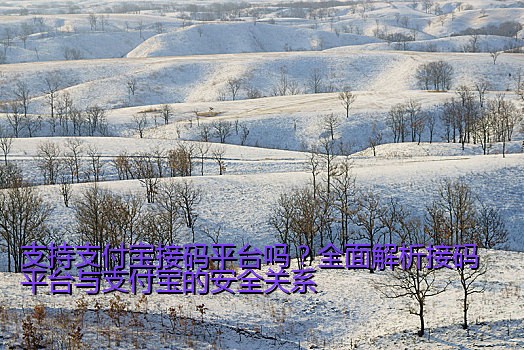 支持支付宝接码平台吗？全面解析接码平台与支付宝的安全关系
