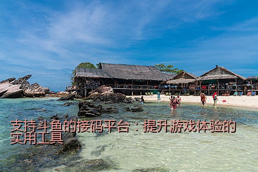 支持斗鱼的接码平台：提升游戏体验的实用工具