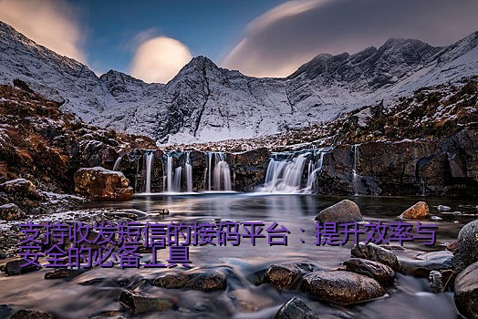 支持收发短信的接码平台：提升效率与安全的必备工具