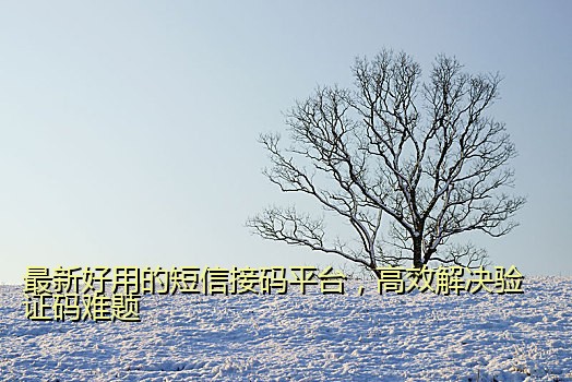 最新好用的短信接码平台，高效解决验证码难题