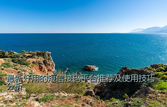 最新好用的短信接码平台推荐及使用技巧分析