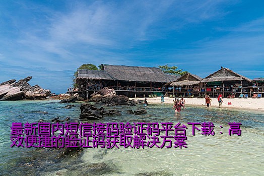 最新国内短信接码验证码平台下载：高效便捷的验证码获取解决方案