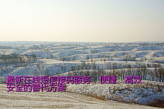 最新在线短信接码服务：便捷、高效、安全的替代方案