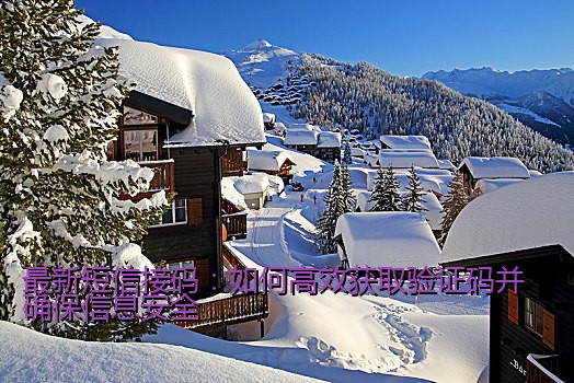 最新短信接码：如何高效获取验证码并确保信息安全