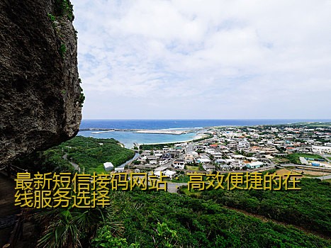 最新短信接码网站：高效便捷的在线服务选择