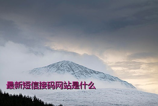 最新短信接码网站是什么