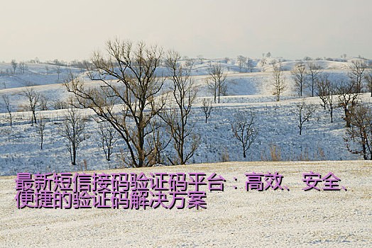 最新短信接码验证码平台：高效、安全、便捷的验证码解决方案