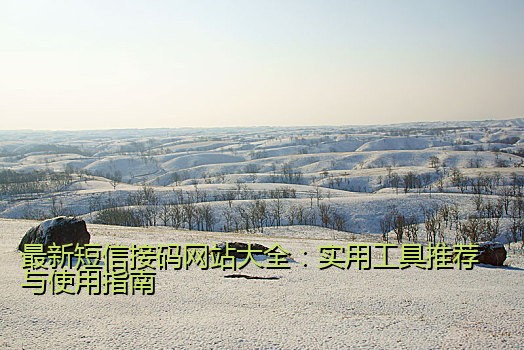 最新短信接码网站大全：实用工具推荐与使用指南