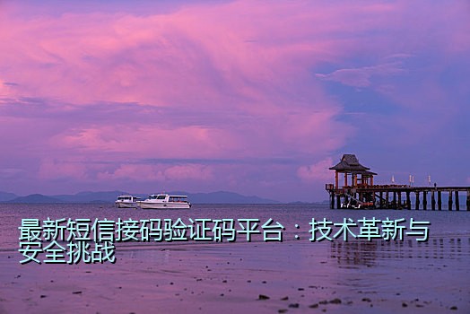 最新短信接码验证码平台：技术革新与安全挑战