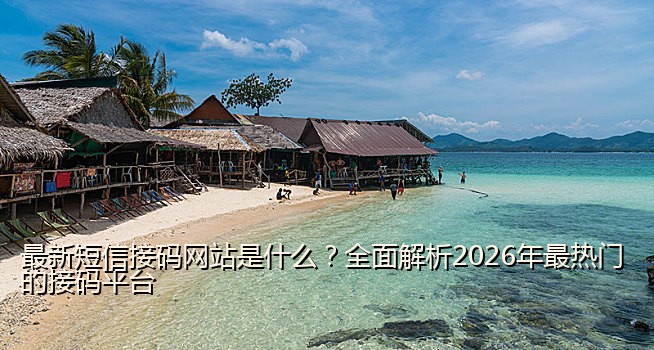 最新短信接码网站是什么？全面解析2026年最热门的接码平台