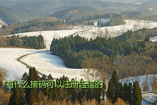 有神软件可以接短信验证码：功能解析与使用指南