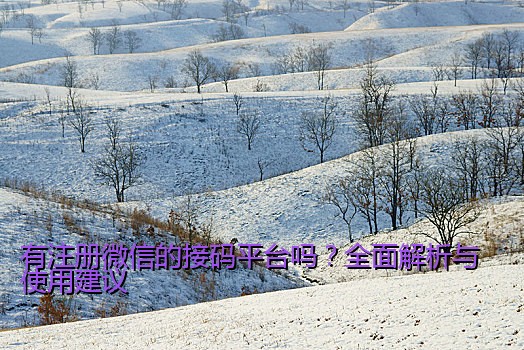 有注册微信的接码平台吗？全面解析与使用建议