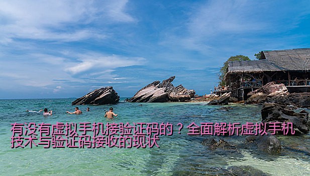 有没有虚拟手机接验证码的？全面解析虚拟手机技术与验证码接收的现状