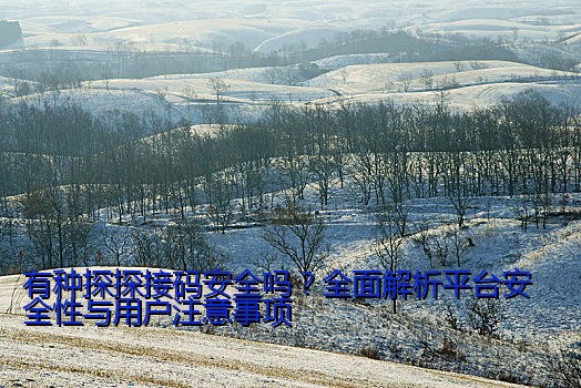 有种探探接码安全吗？全面解析平台安全性与用户注意事项
