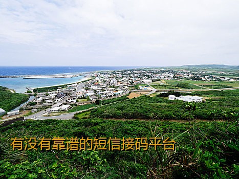 有没有靠谱的短信接码平台