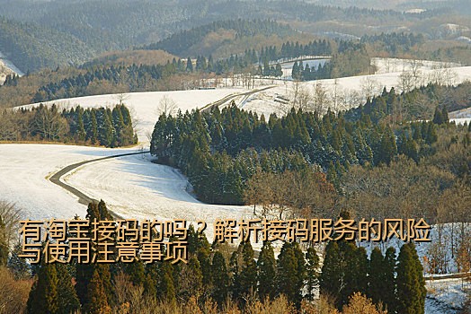 有淘宝接码的吗？解析接码服务的风险与使用注意事项