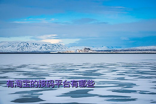 有淘宝的接码平台有哪些