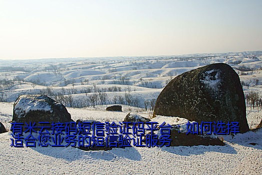 有米云接码短信验证码平台：如何选择适合您业务的短信验证服务