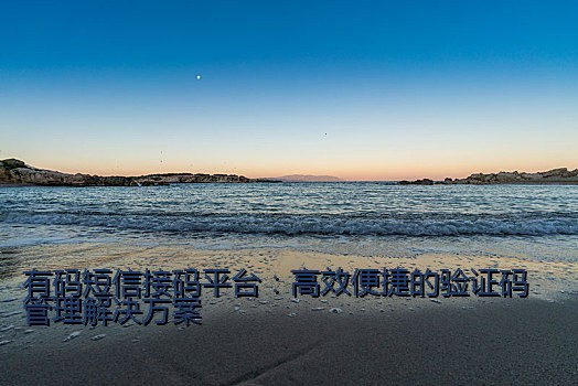 有码短信接码平台：高效便捷的验证码管理解决方案