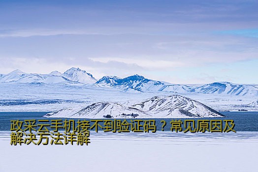 注册京东小号手机接码平台：便捷高效的解决方案