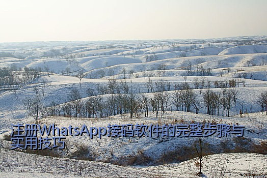 注册WhatsApp接码软件的完整步骤与实用技巧